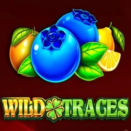 Wild Traces online slot from Amusnet Interactive – play at play-jonny.eu